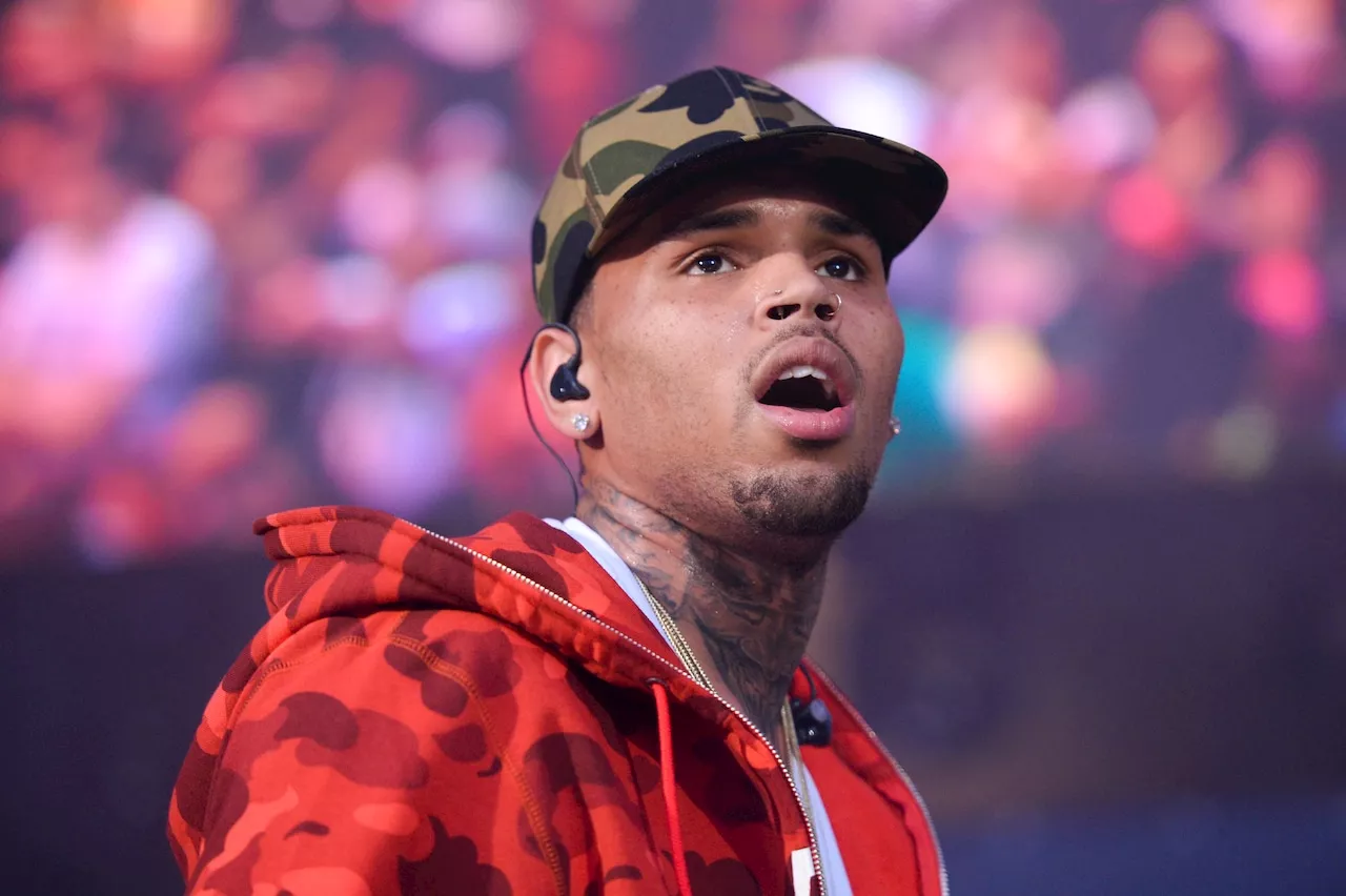 Chris Brown loses cool after being stuck in midair during concert