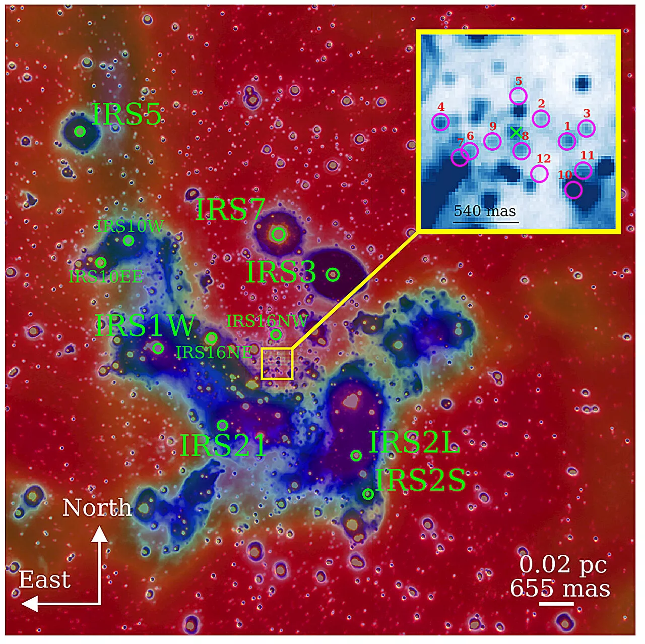 High-speed baby stars circle the supermassive black hole Sgr A* like a swarm of bees