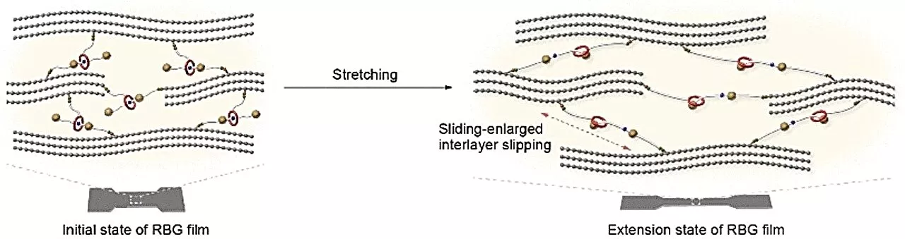 New method links graphene nanolayers for tougher, elastic films