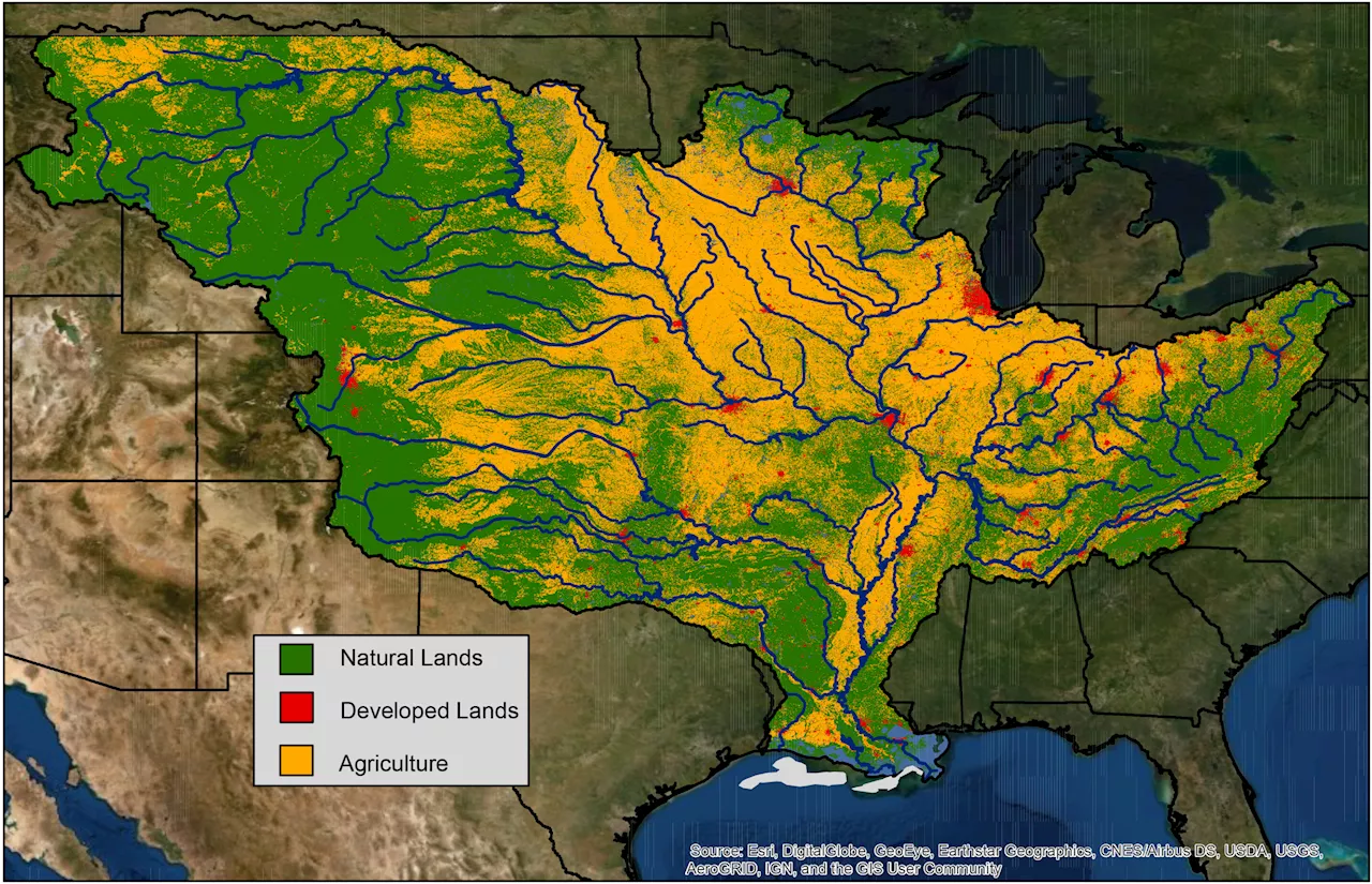 NOAA forecasts above-average summer 'dead zone' in Gulf of Mexico