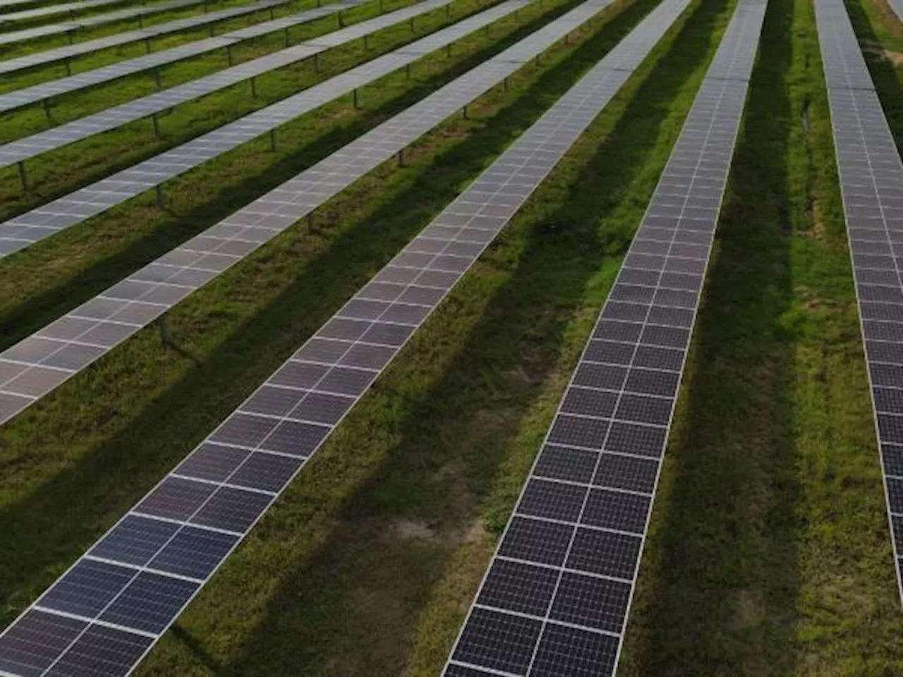 EPM inauguró el parque solar Tepuy de 83 megavatios en La Dorada, Caldas