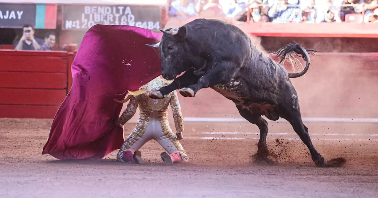 Pese a ley antitaurina, confirman corrida de toros en la Feria de Cali 2024