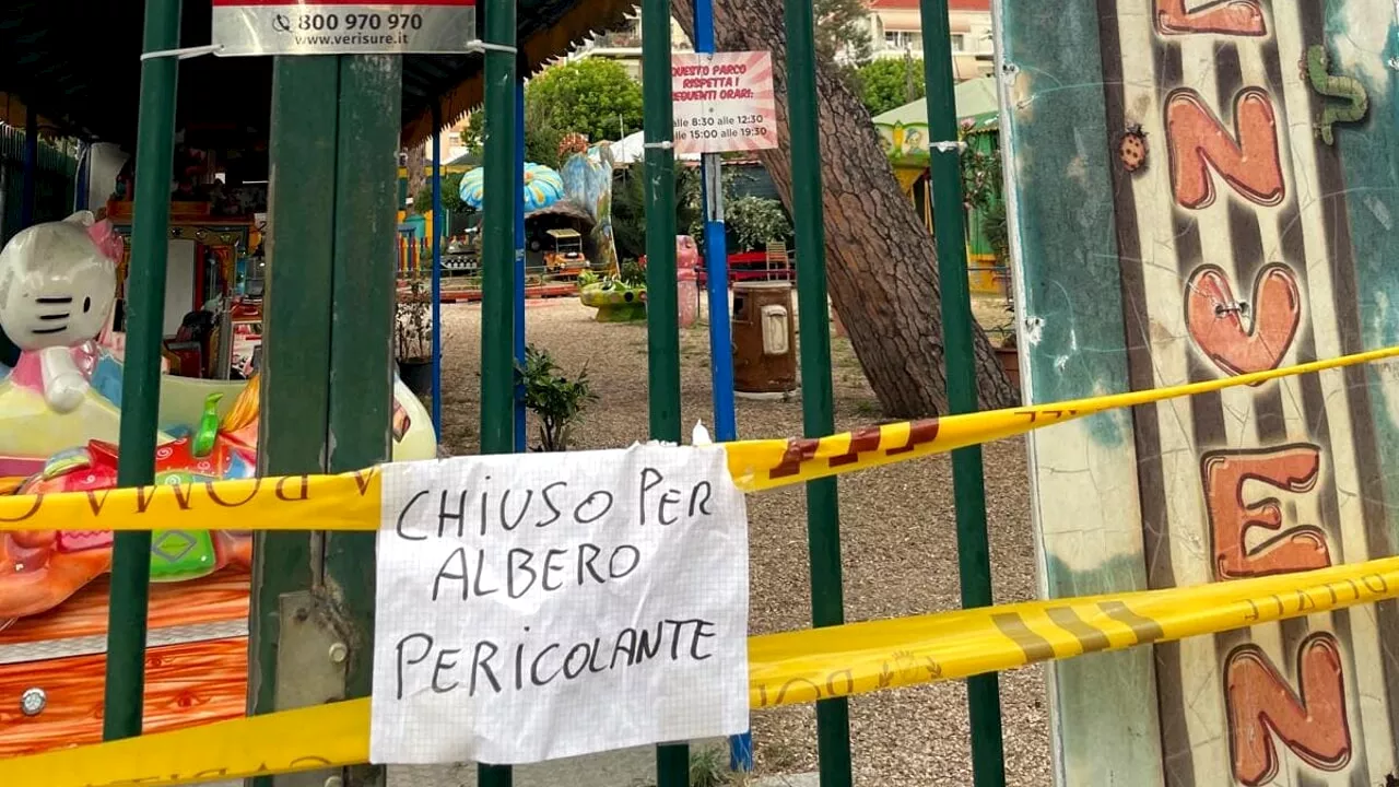 Area giochi chiusa: c'è un pino considerato "pericolante"