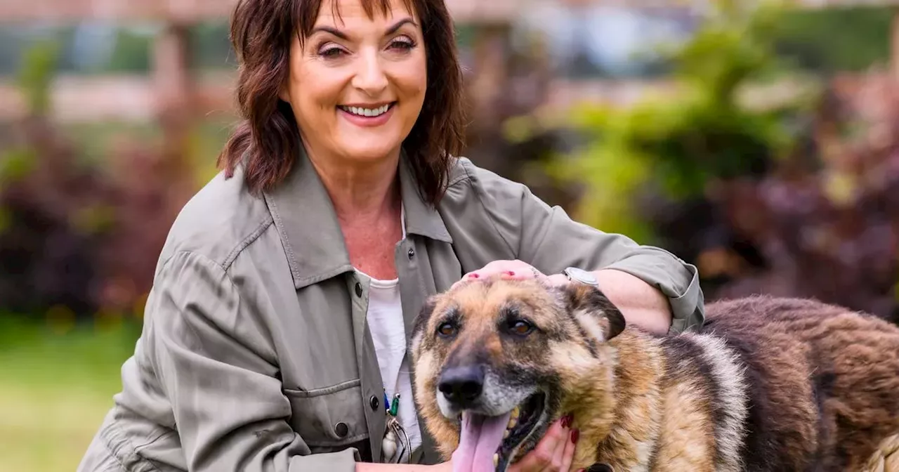 Country star Louise Morrissey on home life with stunning German Shepherd dogs