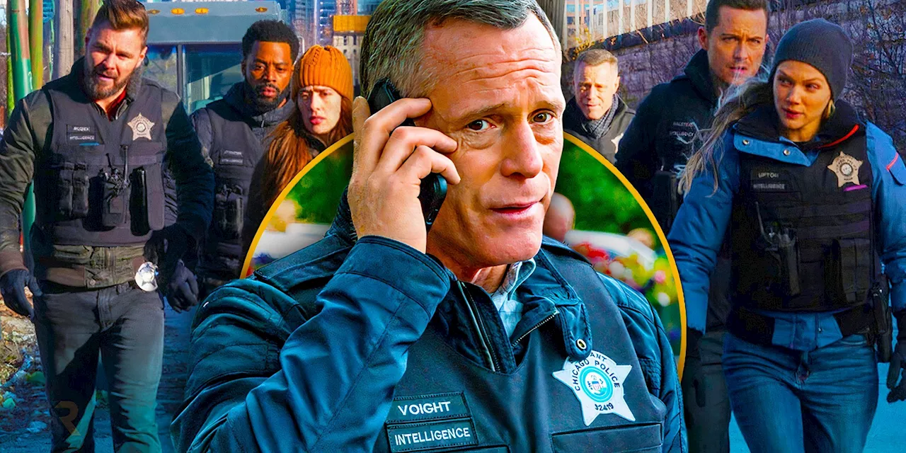 Chicago PD’s Voight Actor Wants New Intelligence Team Members In Season 12