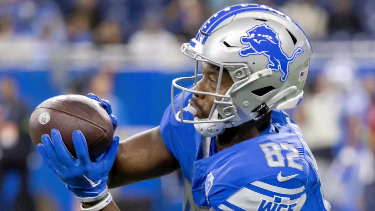 Detroit Lions 2024 roster bubble: Tight ends