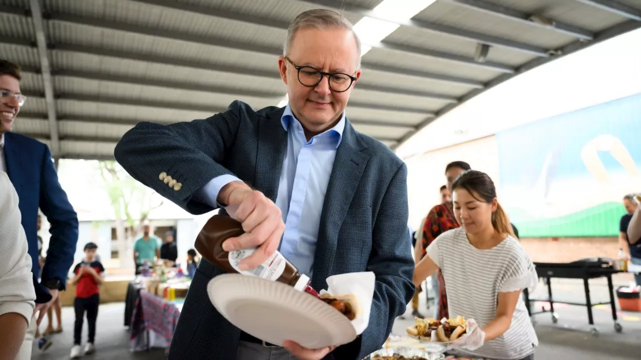 ‘It is unAustralian’: Albanese decries $8.50 sausage sizzle at Vivid