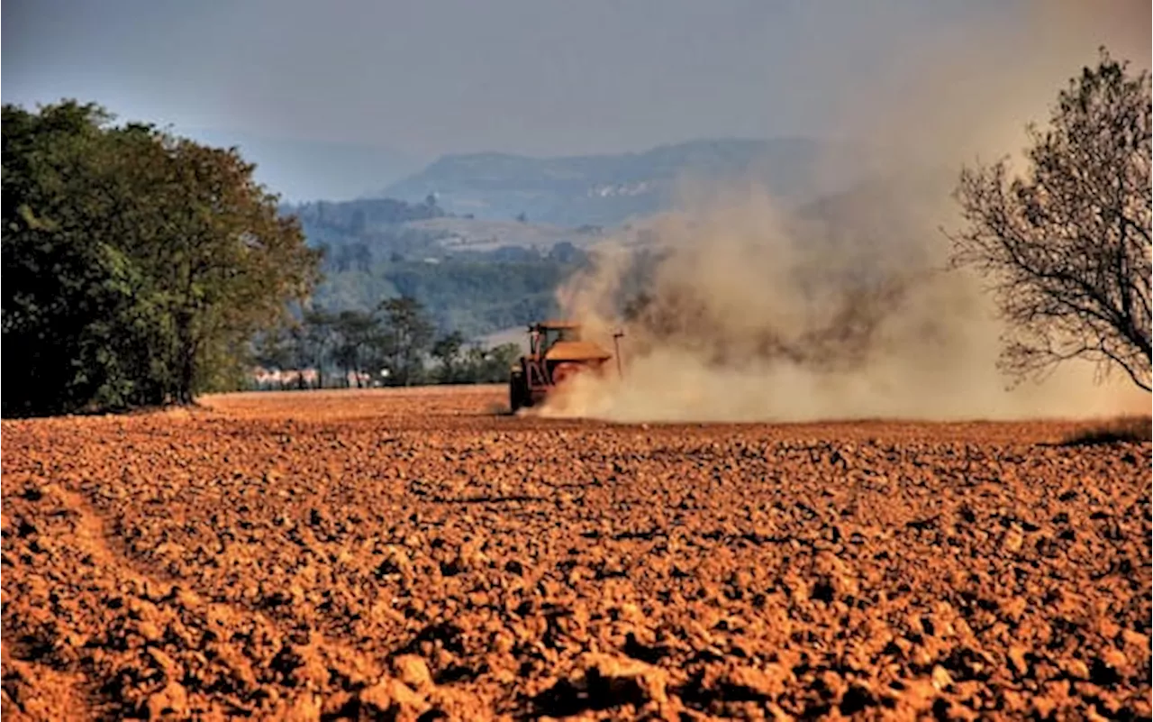 Bonus Zes Unica del Sud, domande entro il 12 luglio: a chi spetta e come funziona