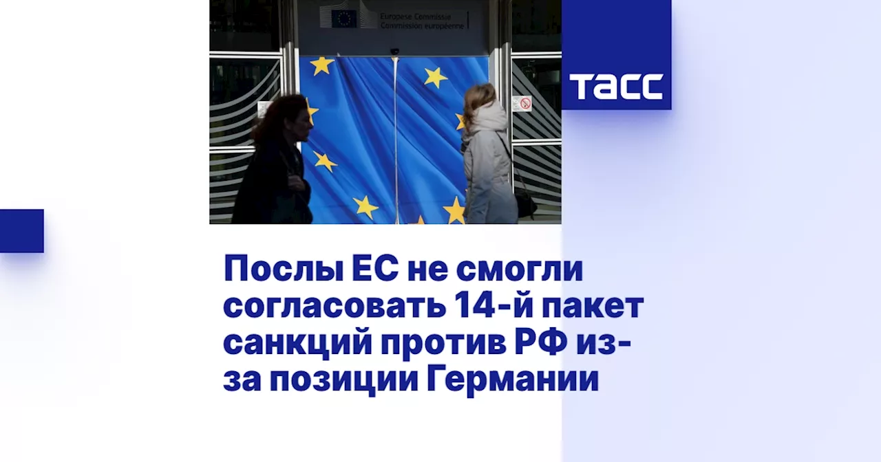 Послы ЕС не смогли согласовать 14-й пакет санкций против РФ из-за позиции Германии