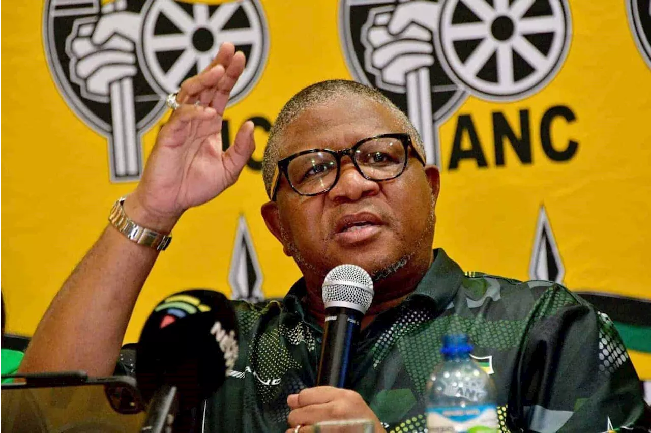 WATCH: ‘ANC will sign agreement with all parties that agree to form GNU’