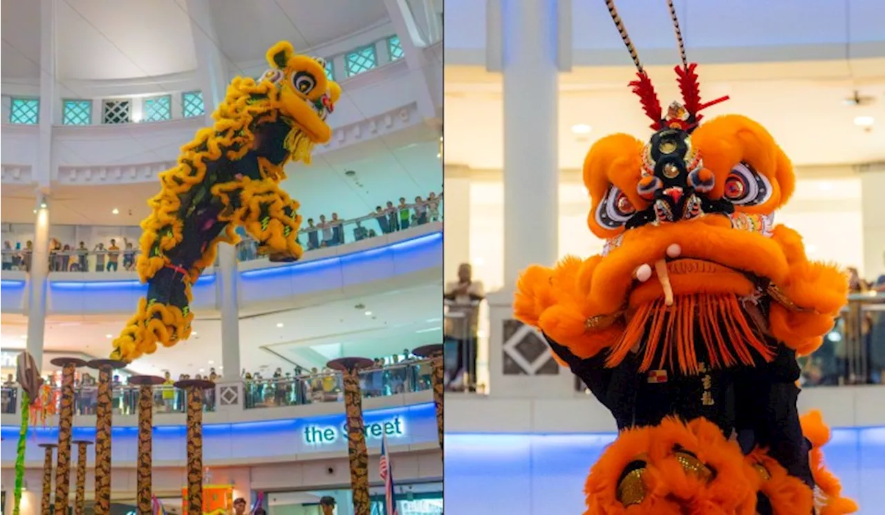 Roaring Triumphs And Heart-Pounding Acrobatics: The 20th Malaysia National Lion Dance Championship 2024