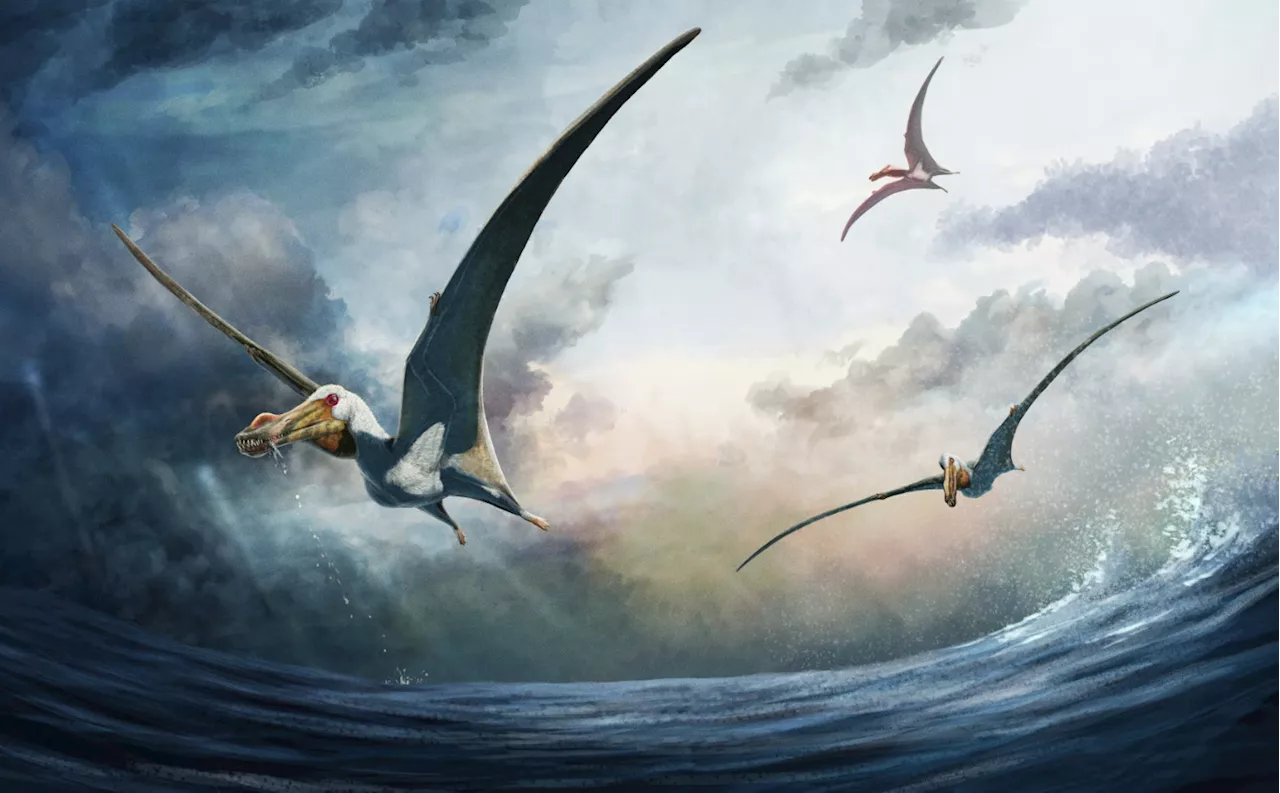 New species of ‘fearsome’ prehistoric flying reptile unearthed with wings as big as an entire giraffe...