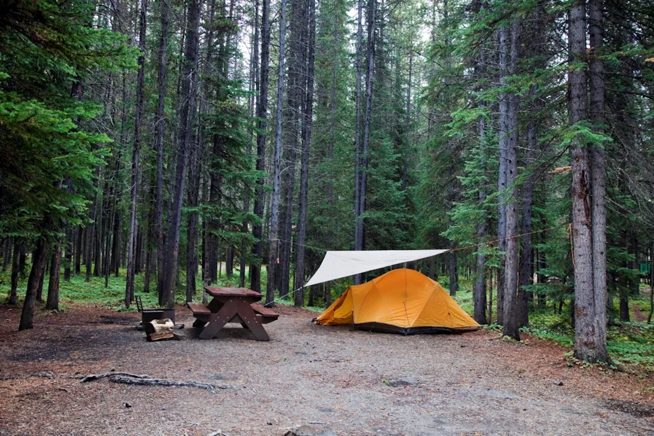 Someone tried to resell a BC Parks campsite and got caught