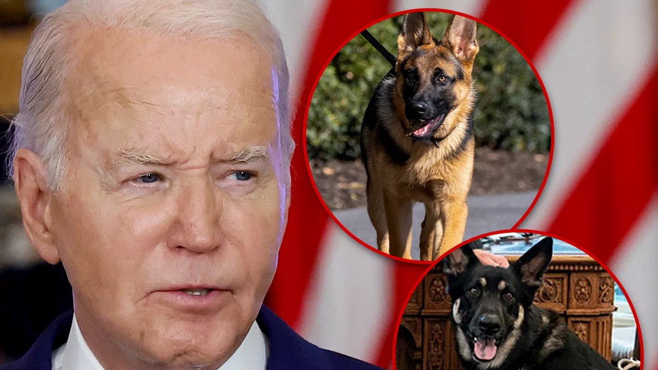 President Biden Present For Multiple Dog Bites On Secret Service Agents