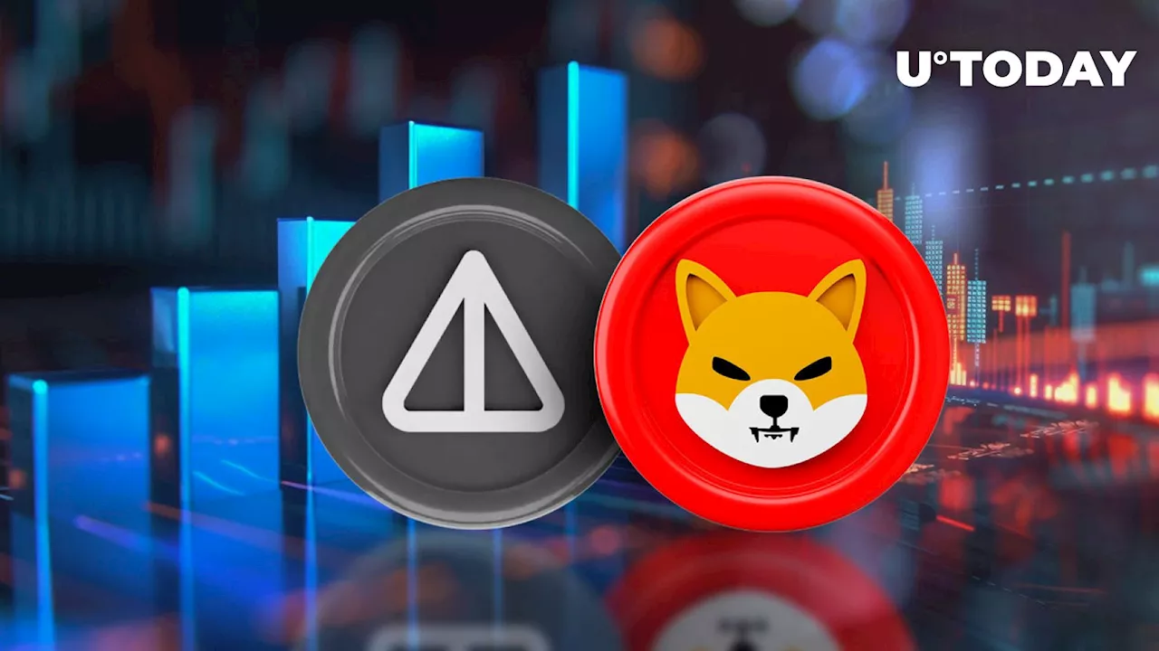 Notcoin (NOT) Overtakes SHIB in Top Ranks as SHIB Volume Drops Dramatically