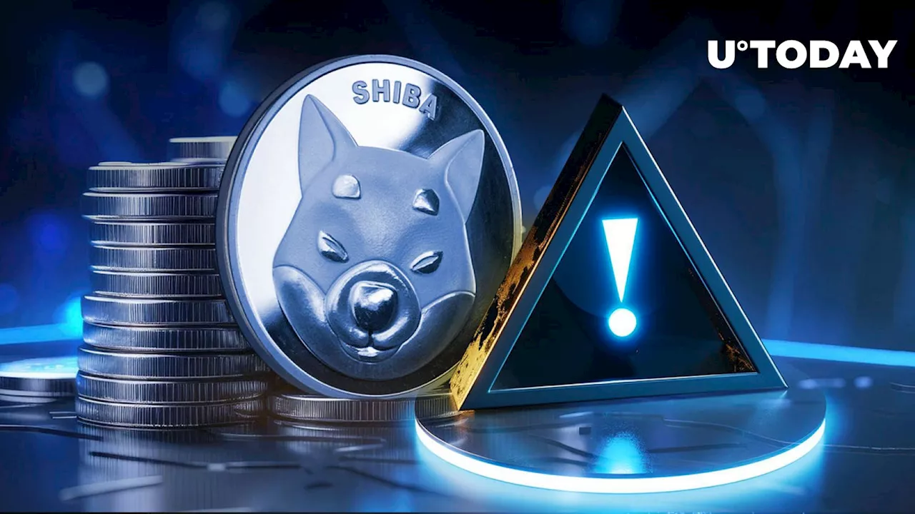 Shiba Inu Insider Shares Crucial Reminder With SHIB Community