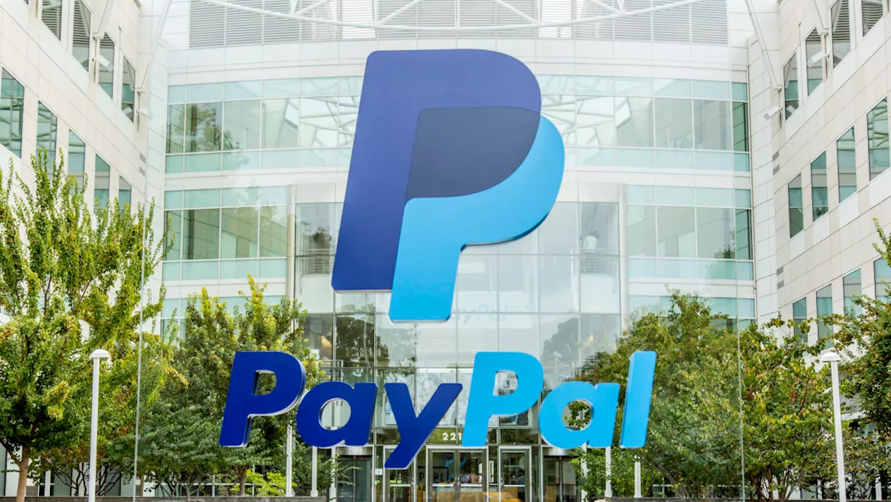 PayPal lacks 'big, bold' strategy for growth