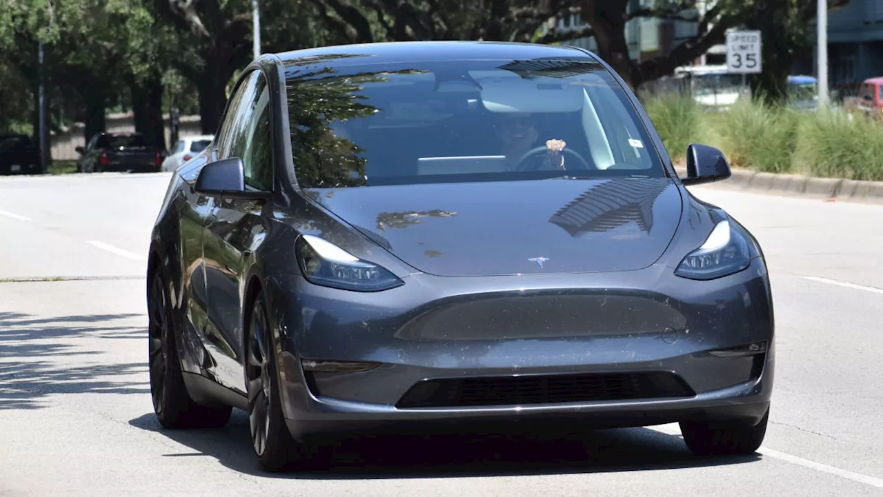 Tesla is in 'incredibly enviable' position for real-world AI