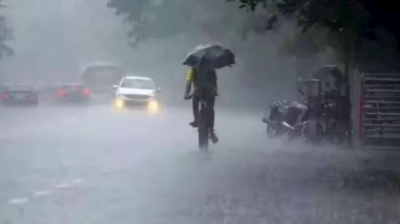 Kerala Weather: ഈ ജില്ലകളിൽ മഴ സാധ്യത; ഉയർന്ന തിരമാല സാധ്യത ഉള്ളതിനാൽ മത്സ്യബന്ധനത്തിന് പോകുന്നവർ ജാ​ഗ്രത പാലിക്കുക