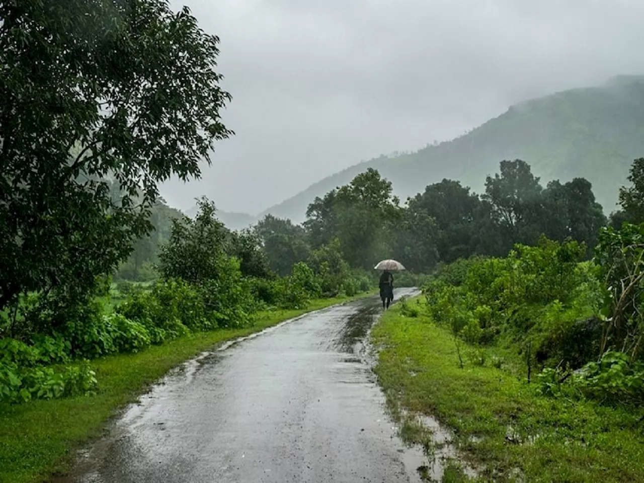 Maharashtra Weather News : 'या' भागांमध्ये मंदावला मान्सून; 'इथं' मात्र जोरदार हजेरी, राज्यातील पर्जन्यमानाचं सविस्तर वृत्त