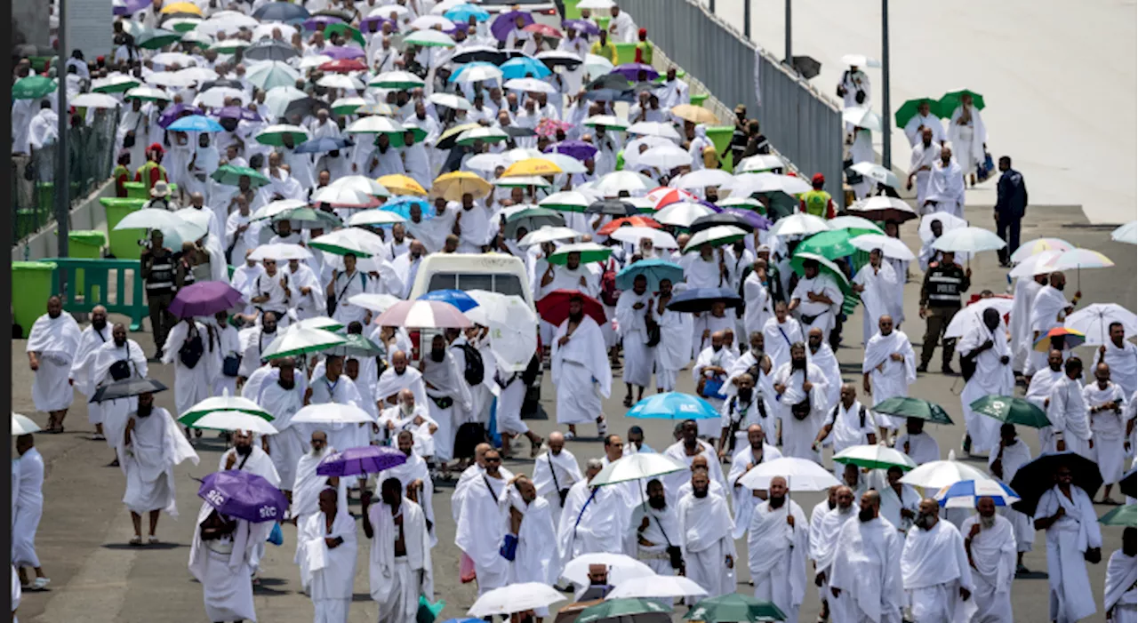 Pilgrims pray on Mount Arafat after Hajj sermon calls for Ummah Unity