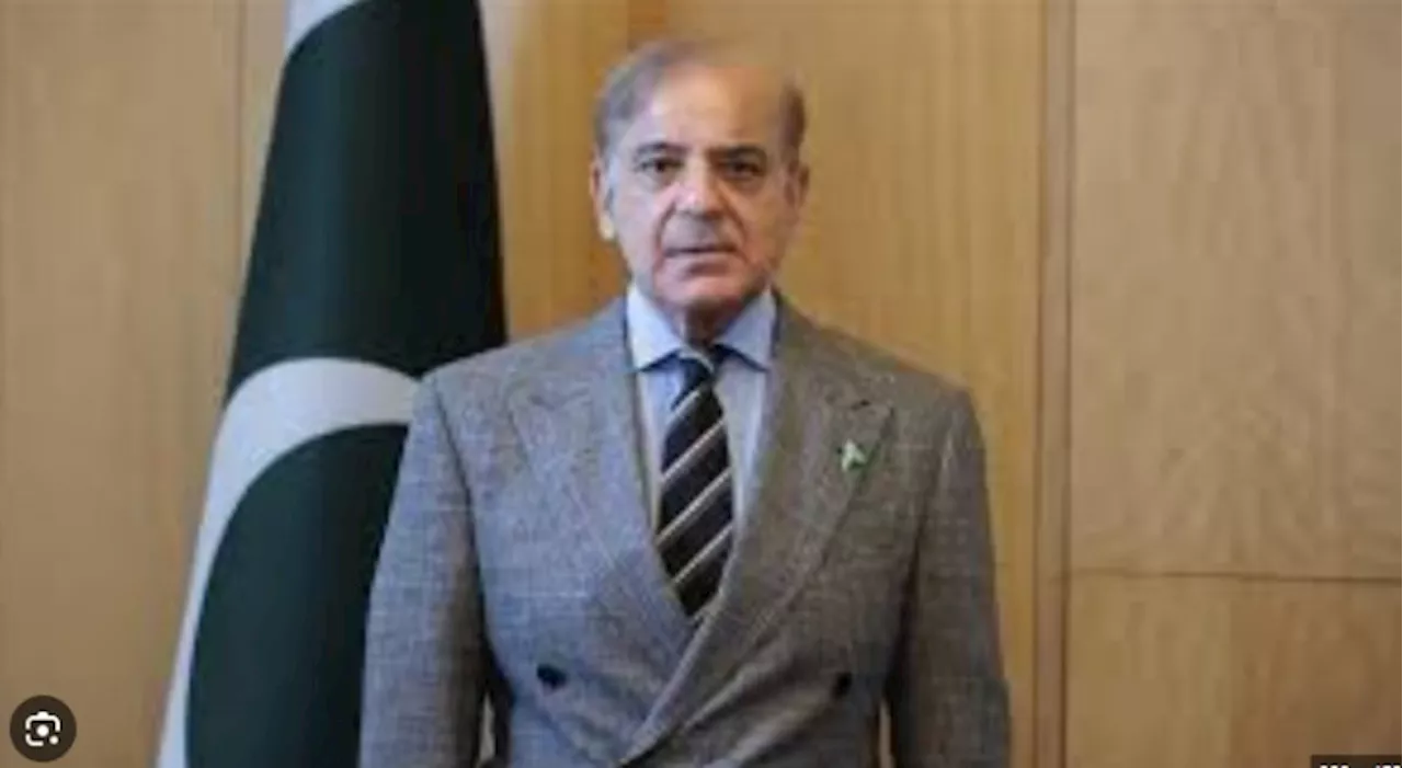 PM Shehbaz forms committee to suggest steps for slashing expenditures