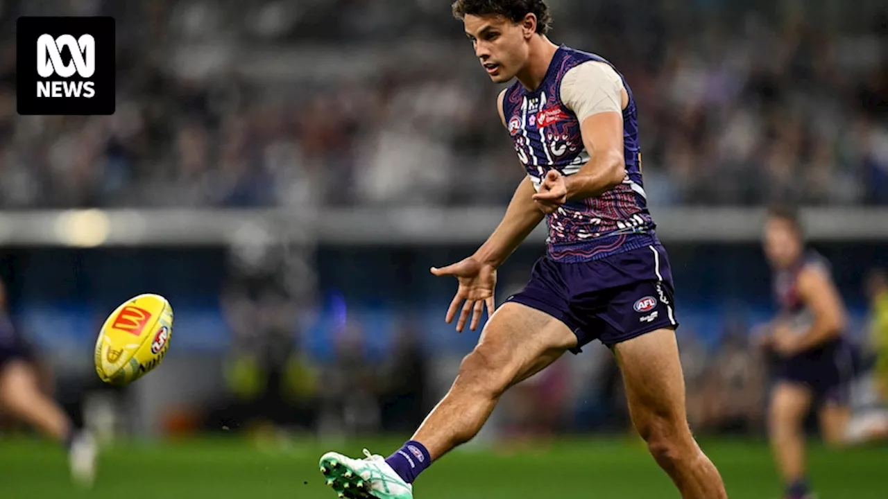 AFL Round 14 Western Bulldogs vs Fremantle, Richmond vs Hawthorn, Adelaide vs Sydney live updates — blog, scores and stats