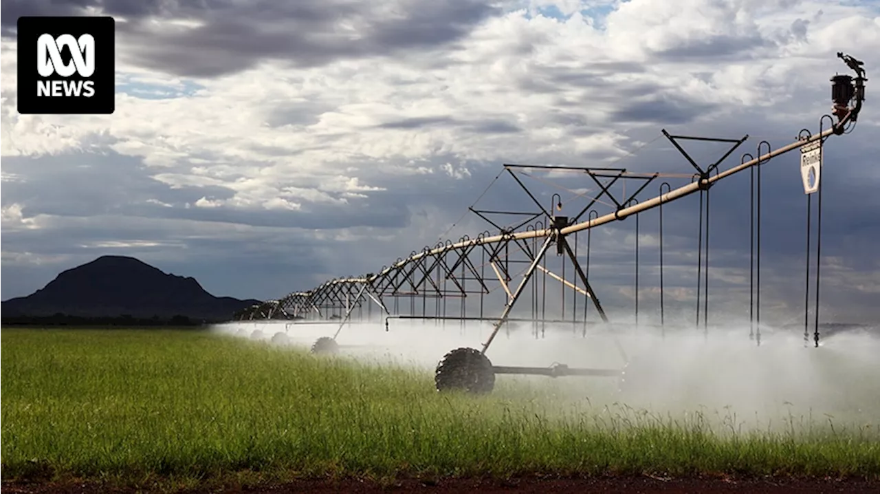 Rio Tinto halts decade-long reliable hay production amid shortage across WA