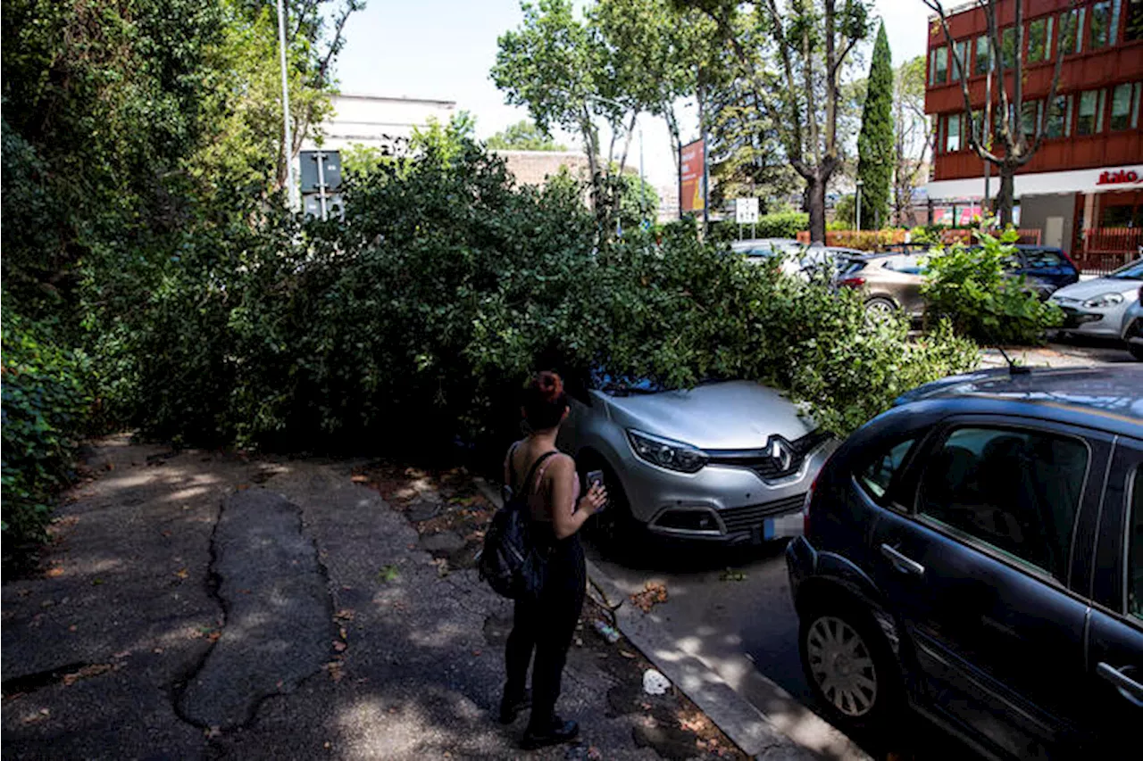 Grandine e frane, raddoppia il costo delle polizze per i danni del meteo