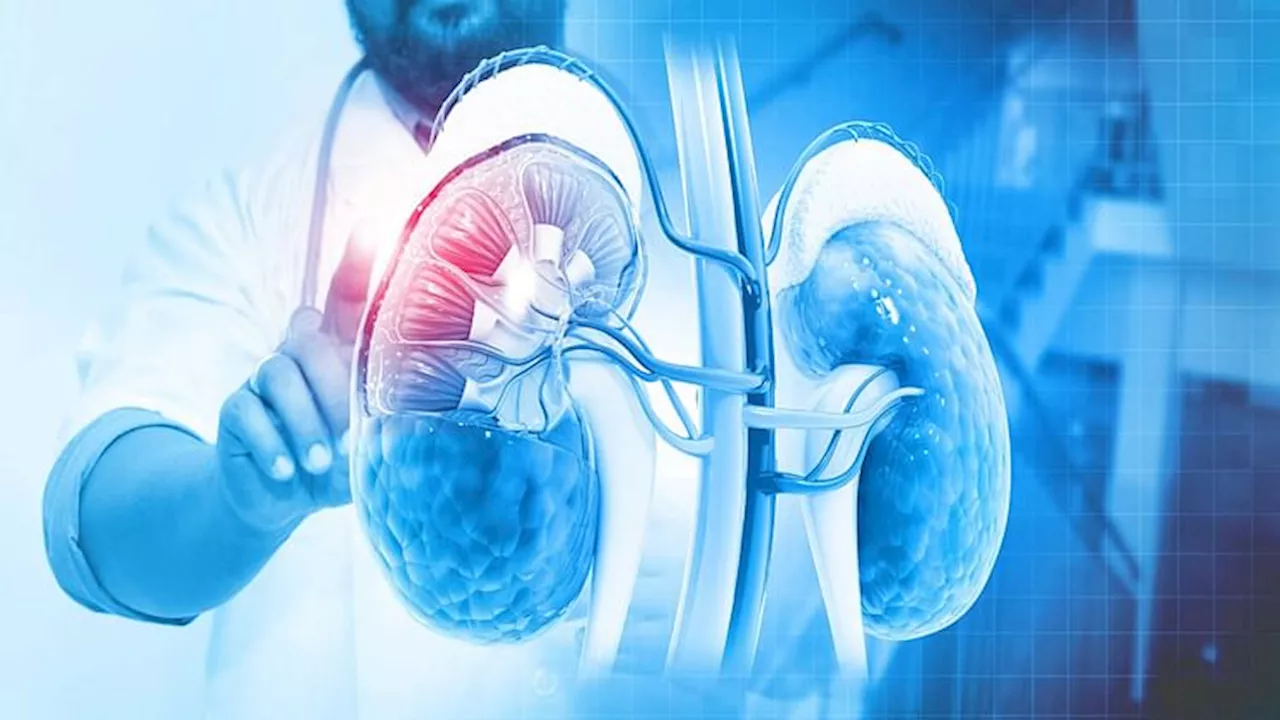 Kidney Cancer: किडनी कैंसर से हर साल 1.75 लाख लोगों की हो जाती है मौत, क्यों बढ़ता जा रहा है इसका खतरा?