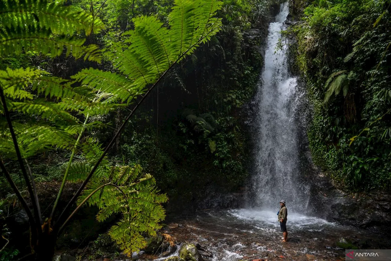 KLHK: Hari Air Terjun Internasional momentum jaga air terjun lestari