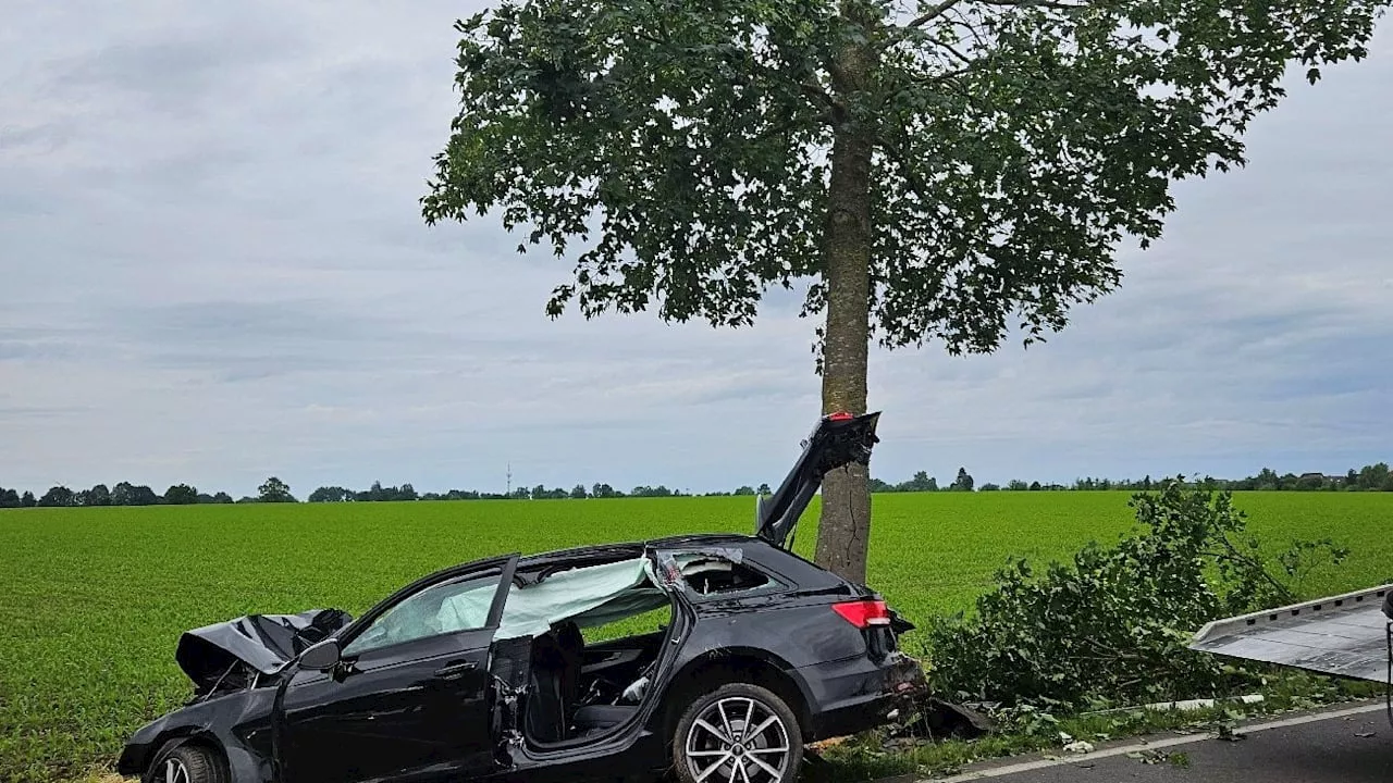 Audi eCall rettet Fahrer nach Unfall in Stade (Niedersachsen)