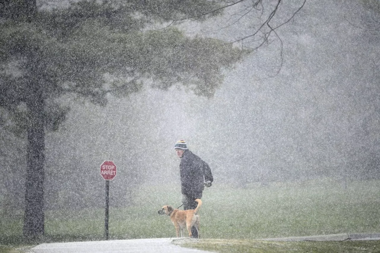 Witnesses report pea-sized hail as storm hits parts of B.C.'s south coast