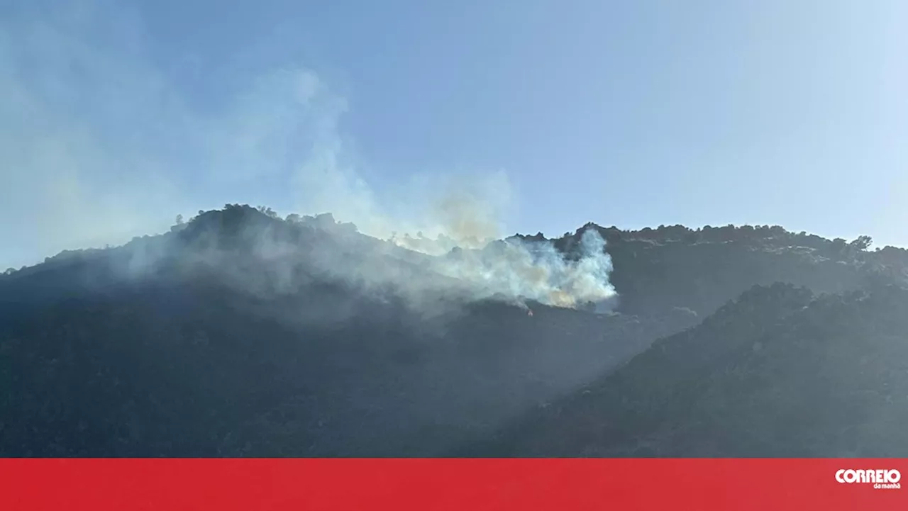 Três meios aéreos combatem incêndio em Torre de Moncorvo