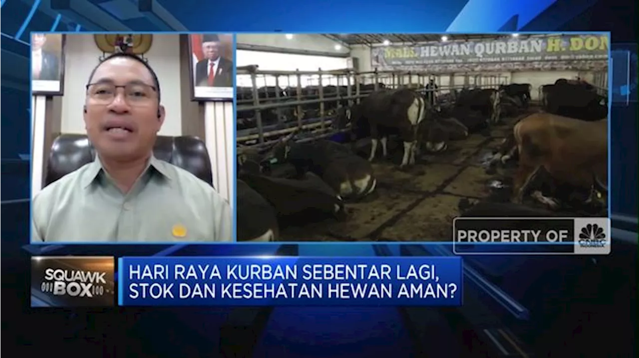 Video:Tips Cek Kesehatan Hewan Kurban Yang Bebas PMK & Sakit Lato-lato