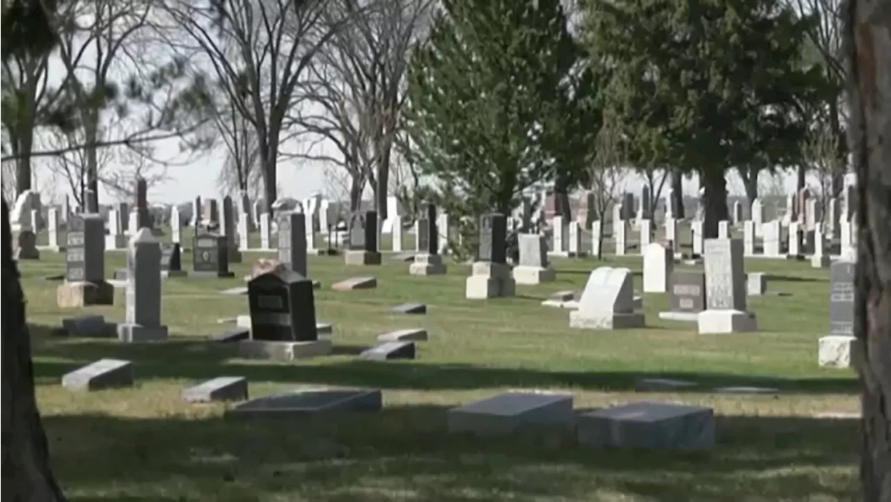 City providing free daisies for Lethbridge to celebrate loved ones on Father’s Day