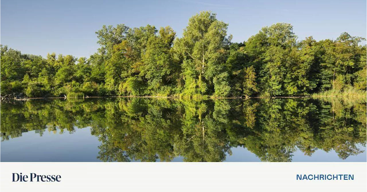 Neue Regeln für Radfahrer in der Lobau