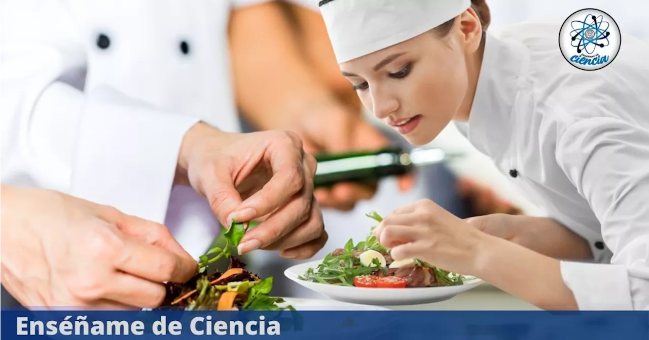 Curso 100% gratuito para desarrollar tus habilidades en la cocina profesional