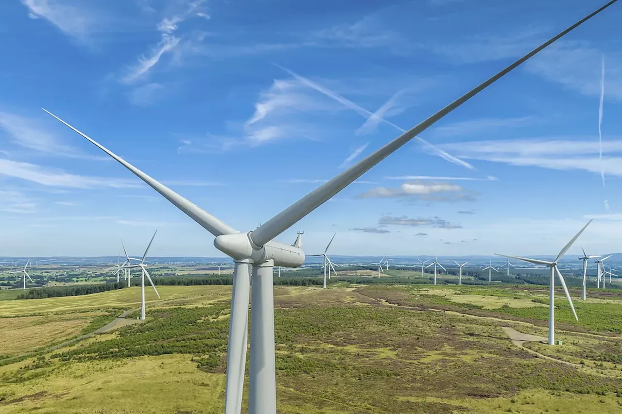 Iberdrola obtiene la autorización ambiental para construir el mayor parque eólico de Portugal