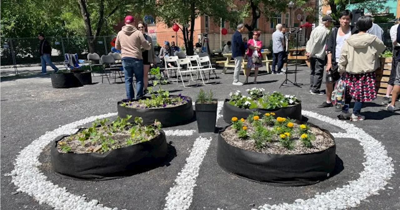 Indigenous-Asian garden opens in Montreal’s Chinatown