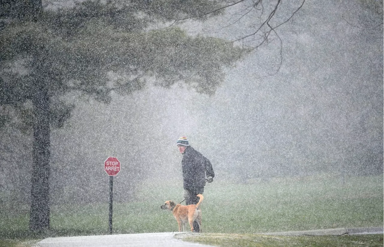 Witnesses report pea-sized hail as storm hits parts of B.C.'s south coast