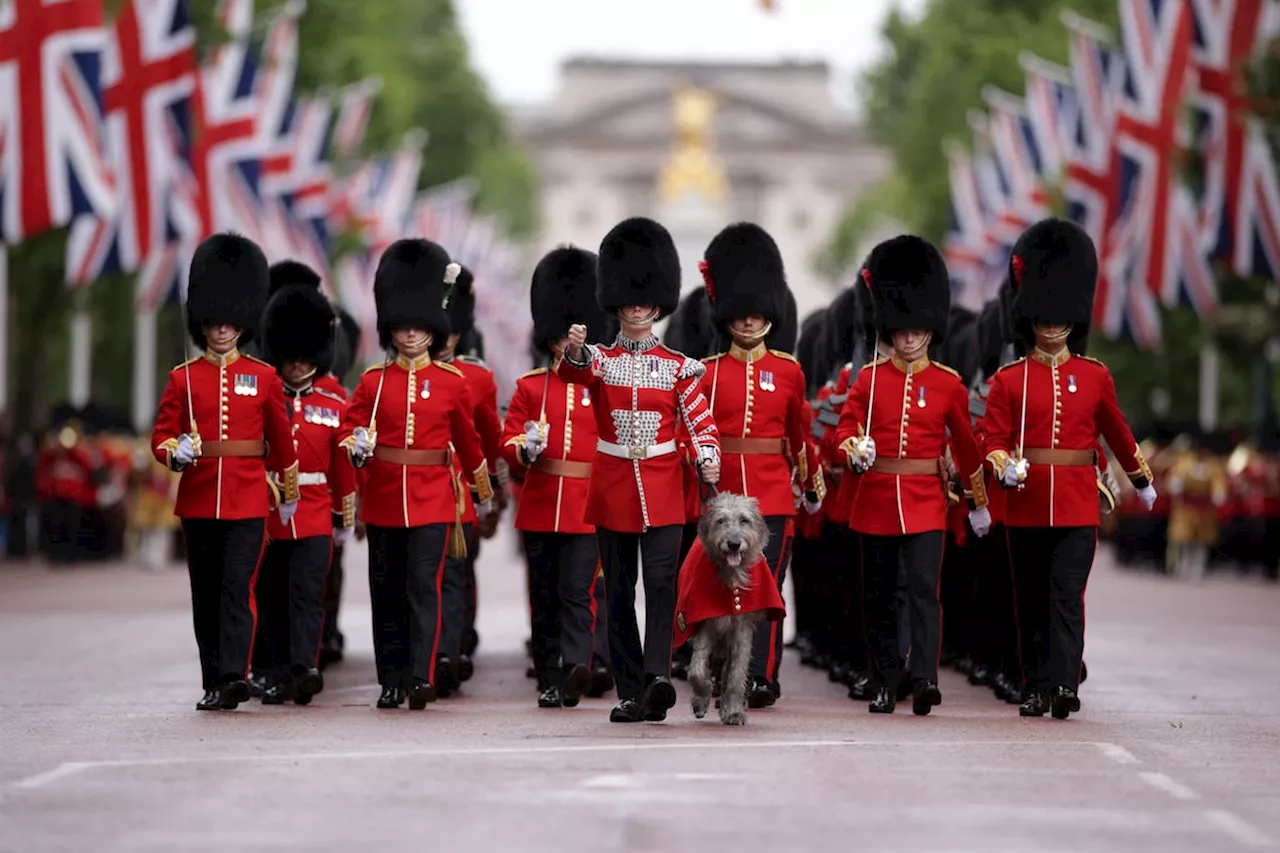 In photos: Annual Trooping the Colour parade honouring King Charles III