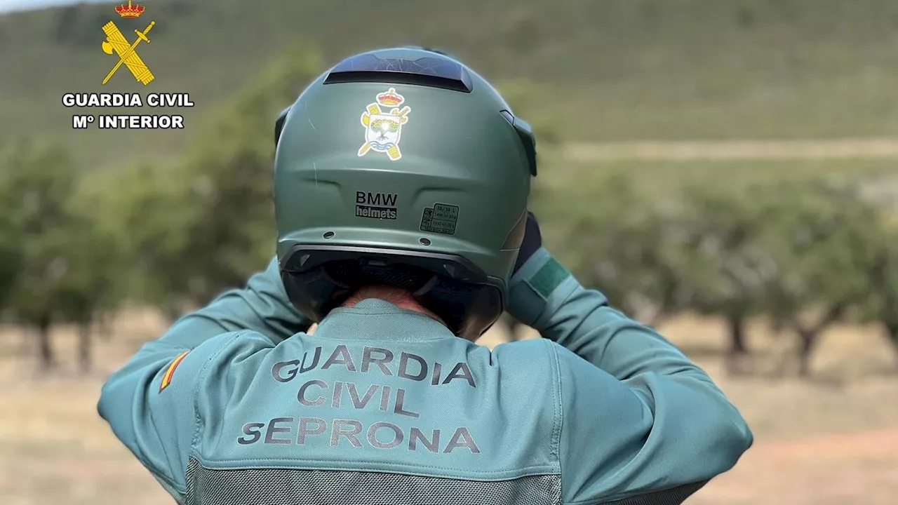 Investigan el hallazgo de un lince ibérico muerto por impacto de munición en Lorca