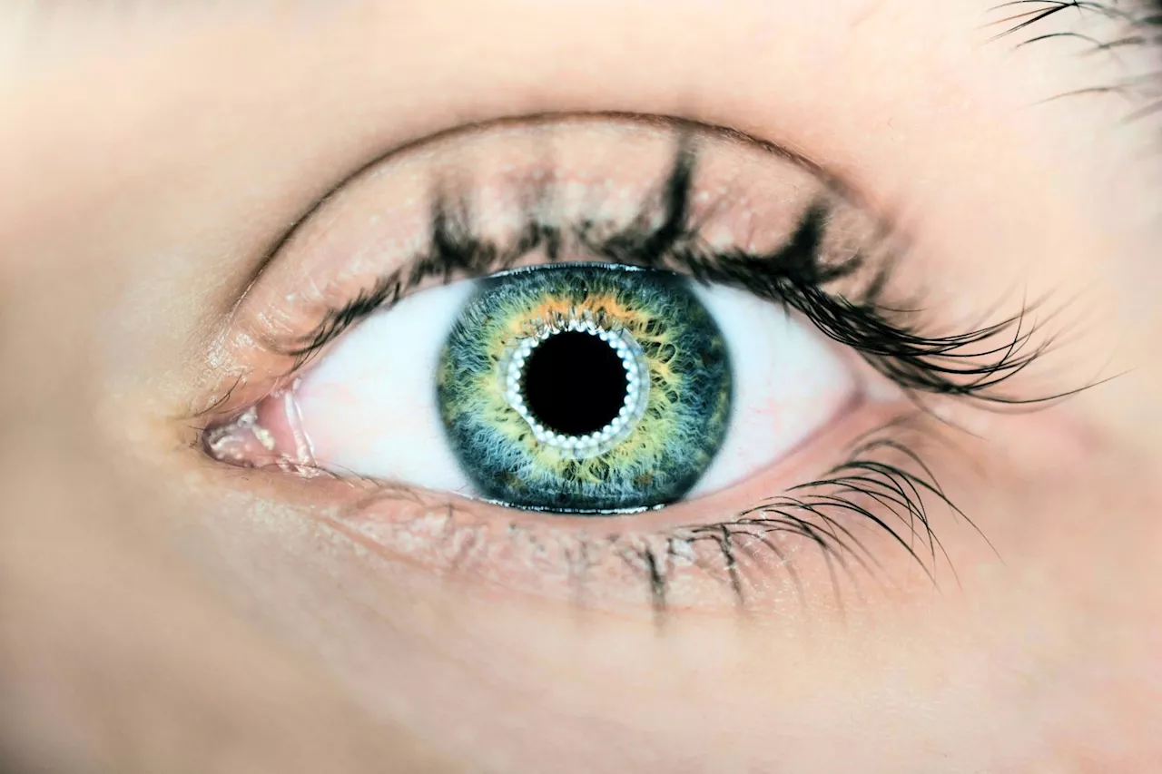 L'iPhone est contrôlable avec les yeux dans iOS 18