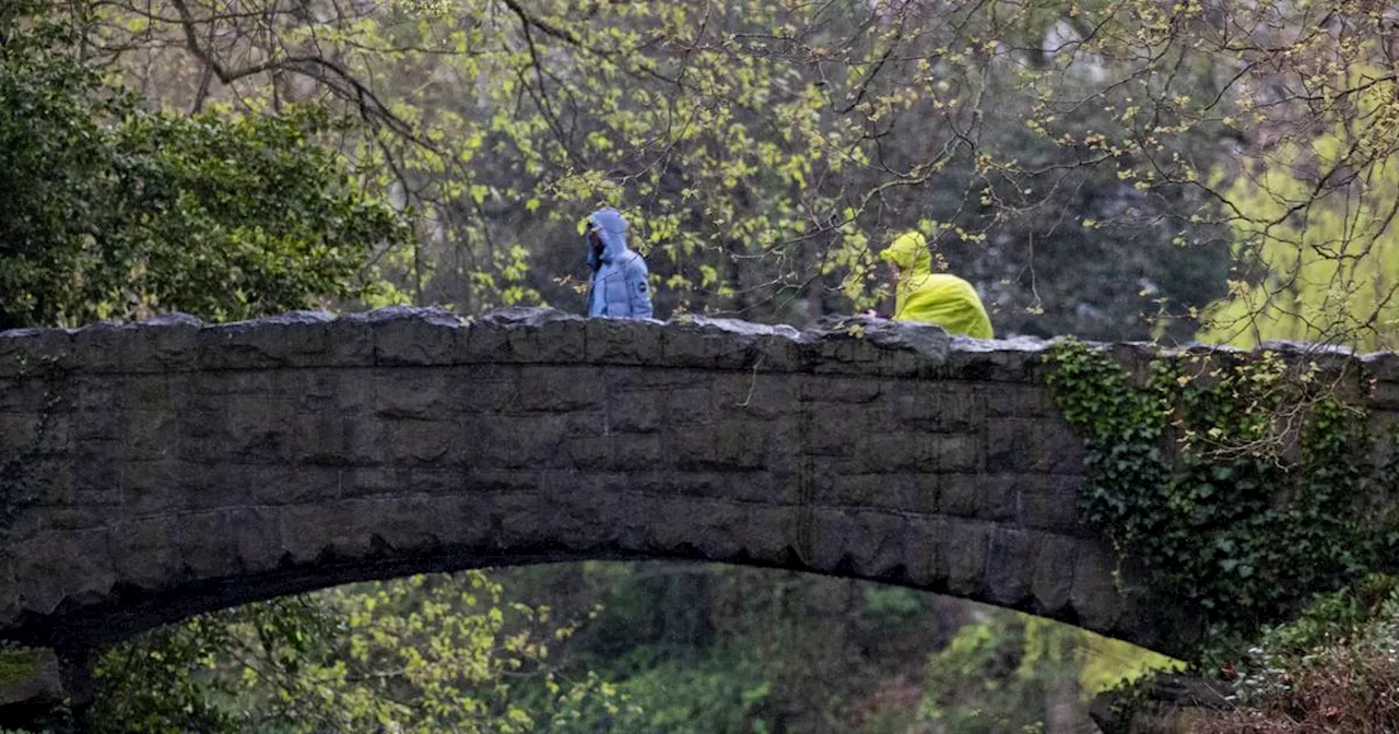 Ireland weather: heavy and thundery downpours may cause spot flooding across Munster and south Leinster