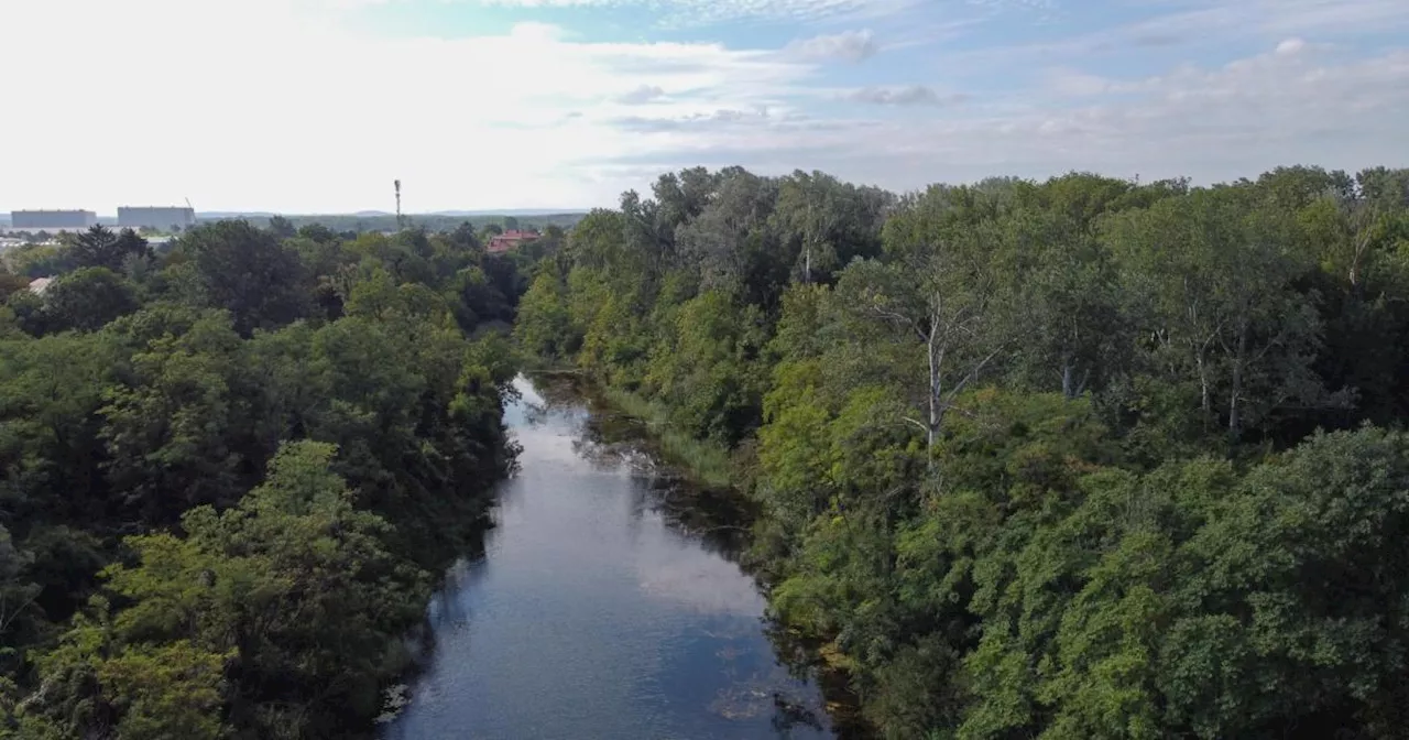 Nationalpark Lobau: Neue Regeln für das Radfahren