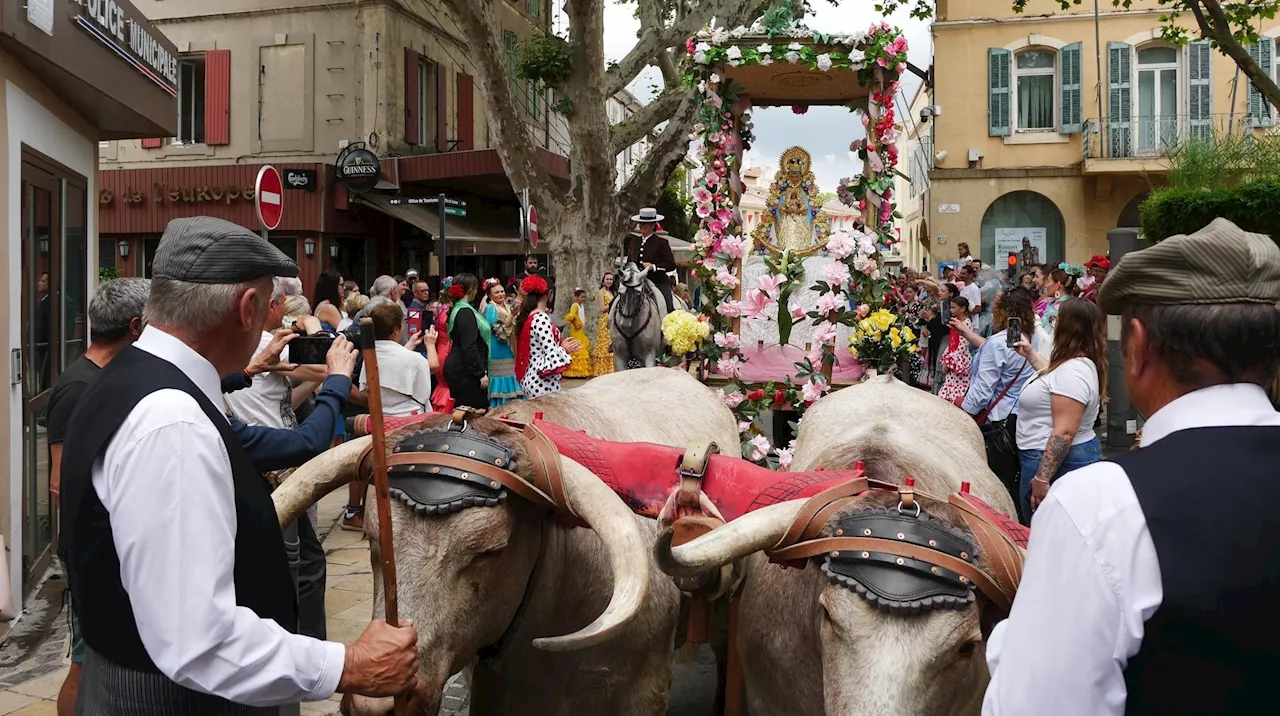 Feria d'Istres : des arènes au centre-ville, la fête règne en maîtresse !