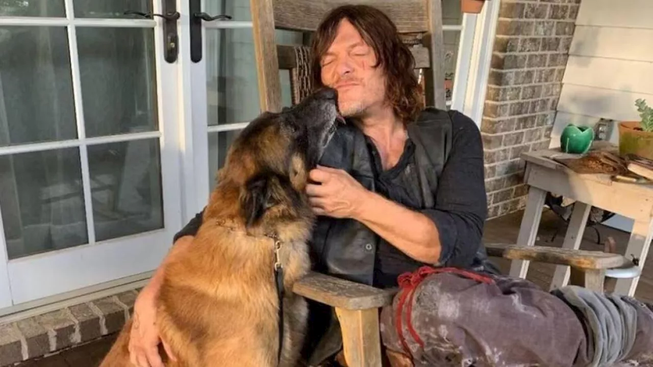 Muere Seven, perrito que participó en de 'The Walking Dead'