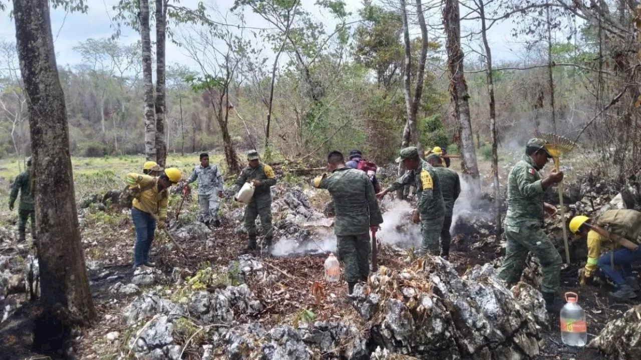 Liquidan incendios forestales al sur de Veracruz después de 3 semanas de trabajos