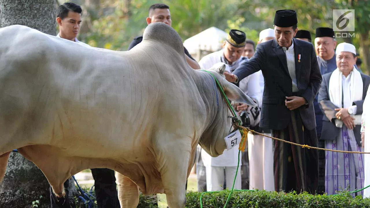 Jokowi Pulang ke Solo, Akan Sholat Idul Adha di Masjid Agung Semarang